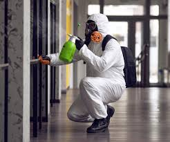 Mold Remediation for Rental Properties in Ellington, MO